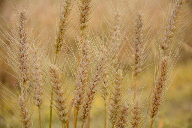 大家:1要敬、2要送、3要忌别大意。pg电子模拟器今日五月初一不一般提醒(图3) 大家:1要敬、2要送、3要忌别大意。pg电子模拟器今日五月初一不一般提醒(图3)